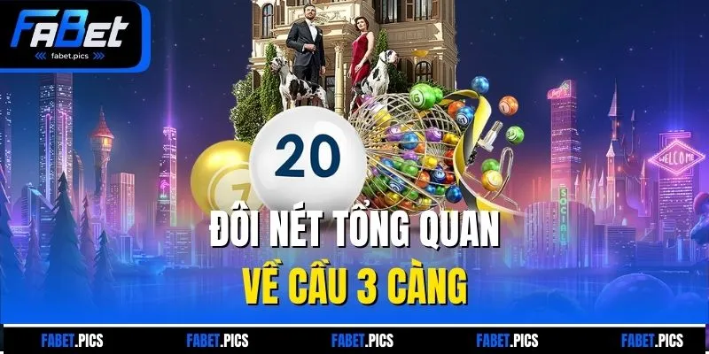 Đôi nét tổng quan về cầu 3 càng